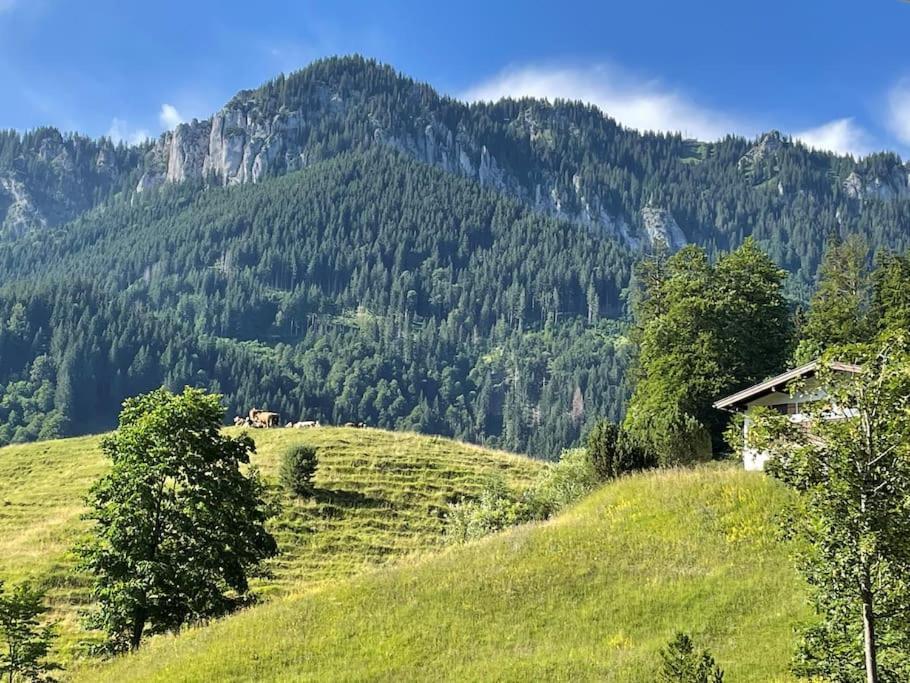 Am Bergangerl * Ettal